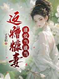 糟糠之妻比喻什么人