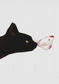 播放人间好时节