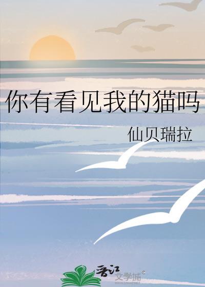 你有看见我的猫吗英文