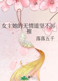 穿进乙女游戏之后