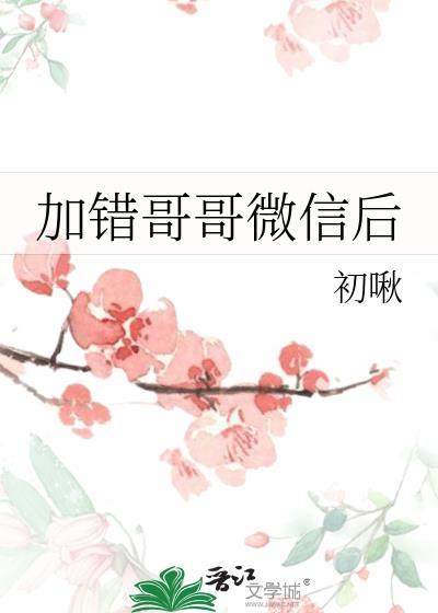 加错哥哥微信后