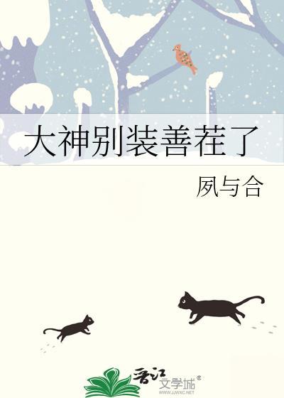 大神别装善茬了