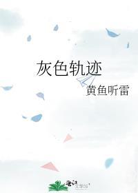 灰色轨迹