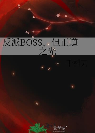 反派BOSS，但正道之光